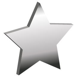 Zero Injury Safety Awards Silver Star